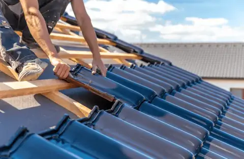 Couverture - Lapalud