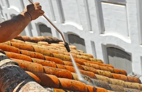 Nettoyage de toitures - Lapalud